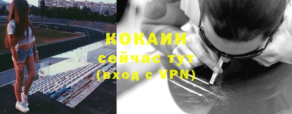 стафф Алексин