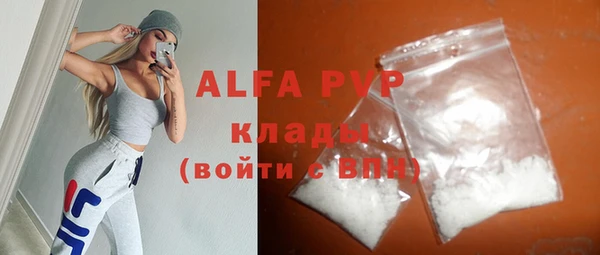 стафф Алексин