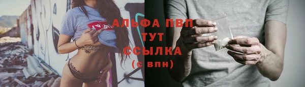 стафф Алексин