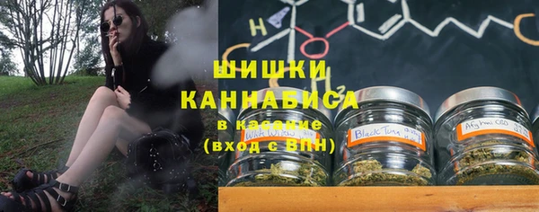 PSILOCYBIN Алзамай