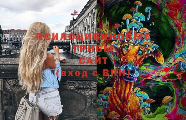 PSILOCYBIN Алзамай