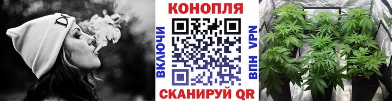 Купить закладки  Андреаполь  Шишки марихуана OG Kush 
